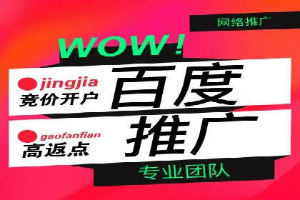 竞价代运营成功案例解析