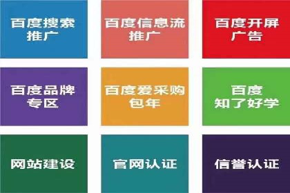 SEM推广实战：案例分析与优化